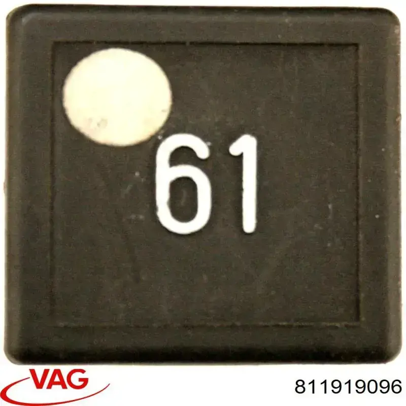 811919096 VAG