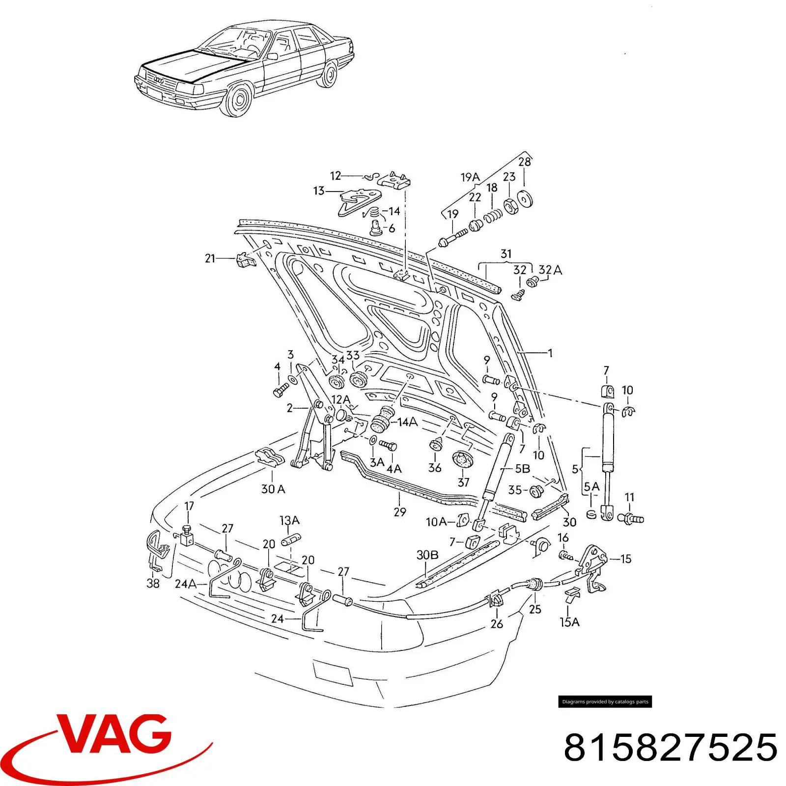  VAG 815827525 precio, desde 21,52 EUR