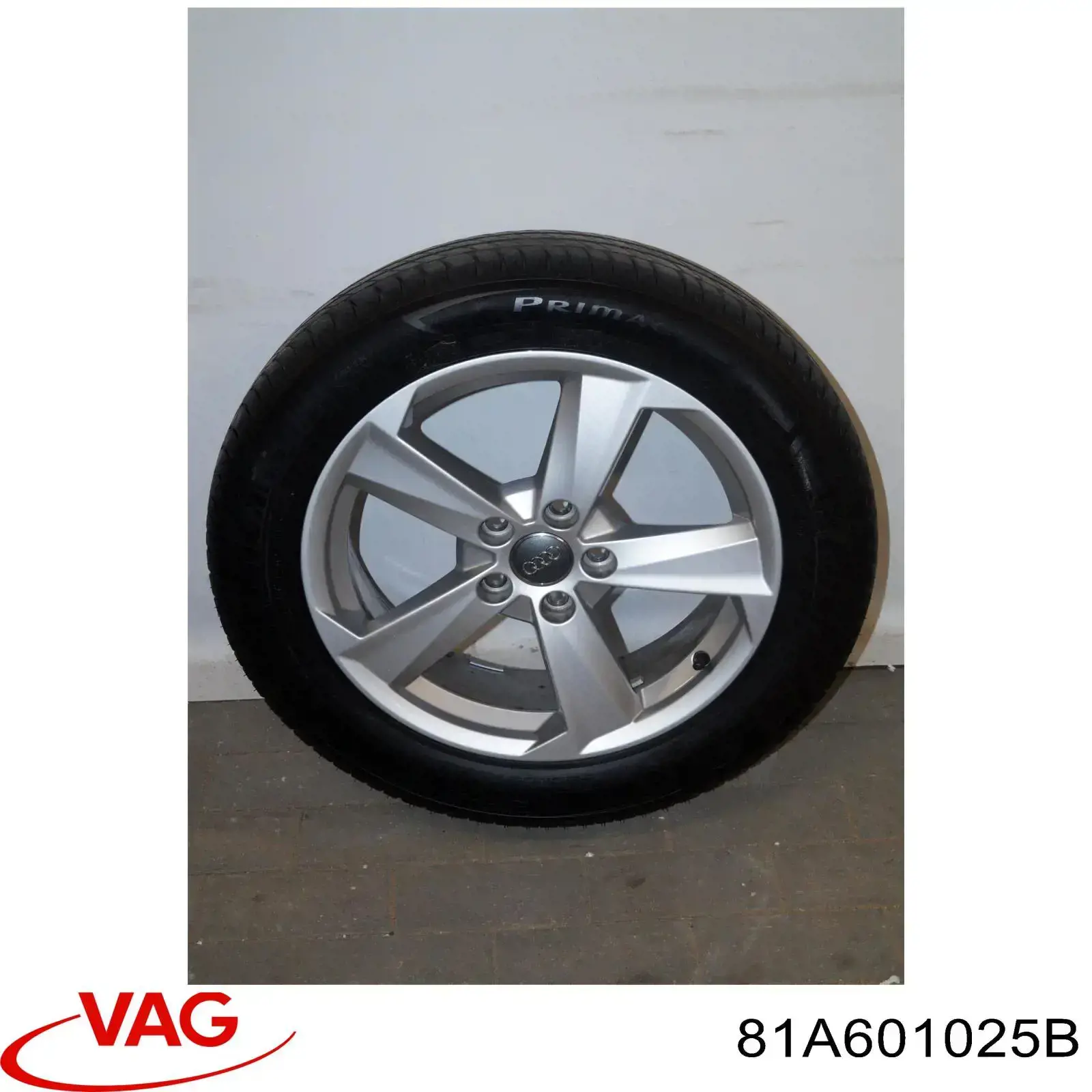 Rines VAG 81A601025B precio, desde 323,80 EUR