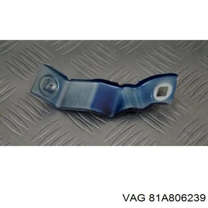  81A806239 VAG