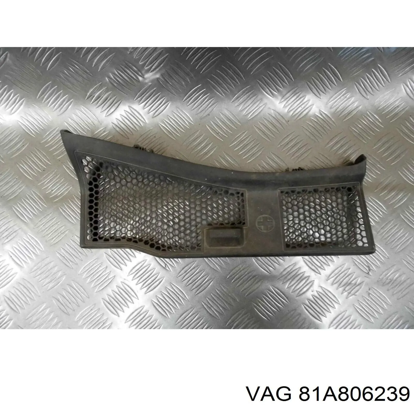 81A806239 VAG 