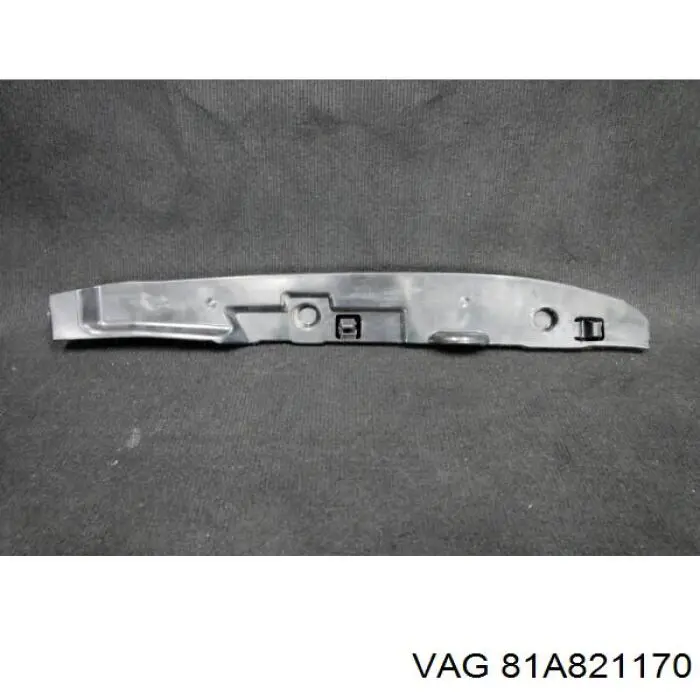 81A821170 VAG 