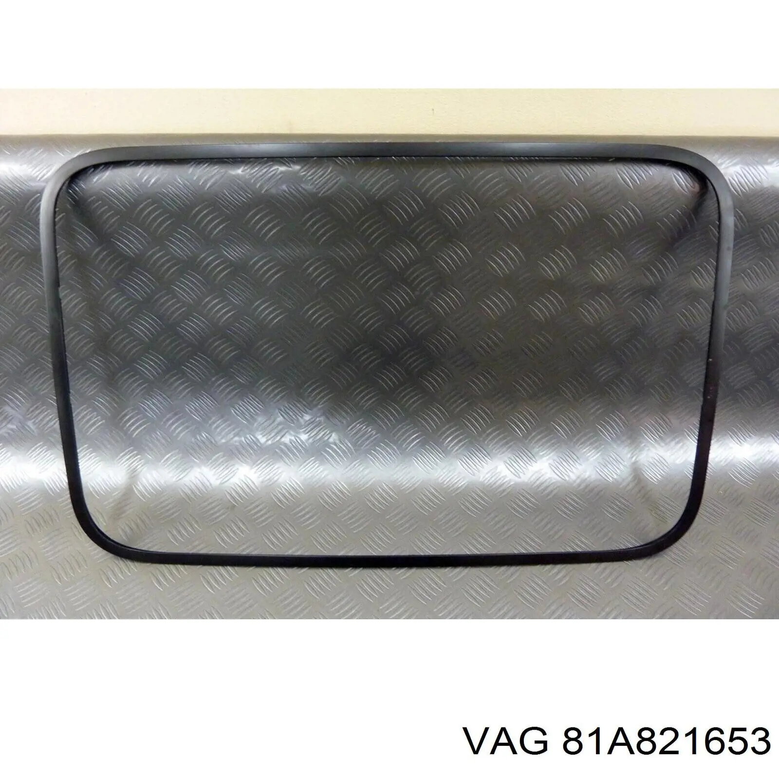 81A821653 VAG 
