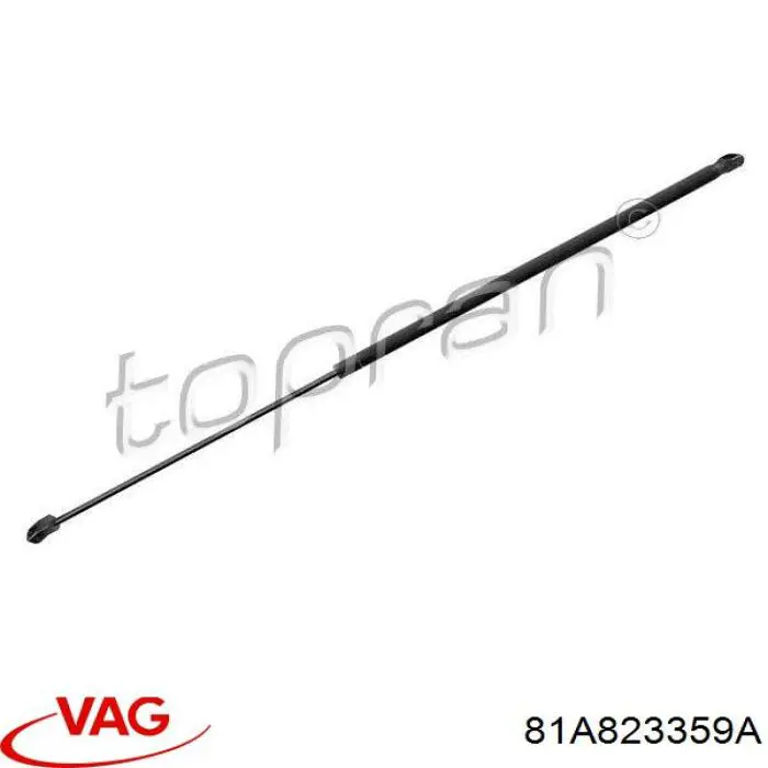 Muelle neumático, tapa delantera VAG 81A823359A precio, desde 12,70 EUR
