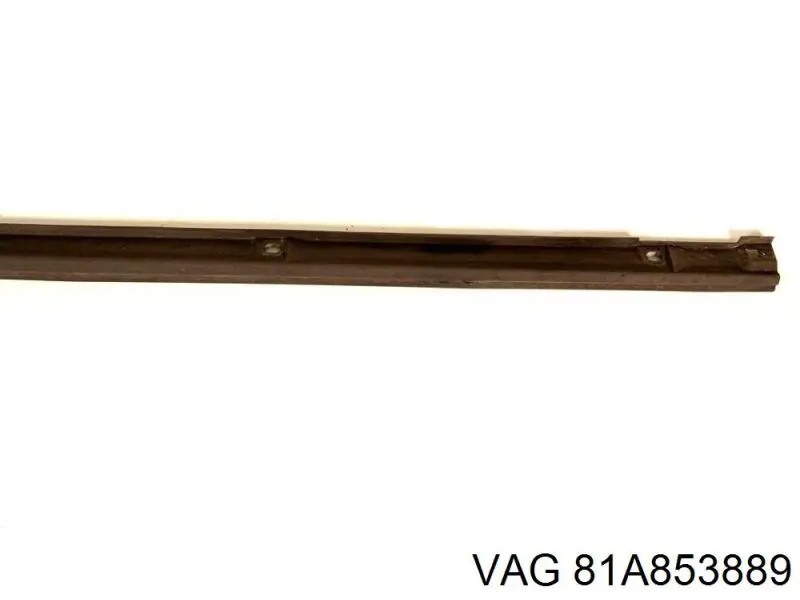 Moldura exterior izquierda del umbral VAG 81A8538899B9 precio, desde 97,51 EUR
