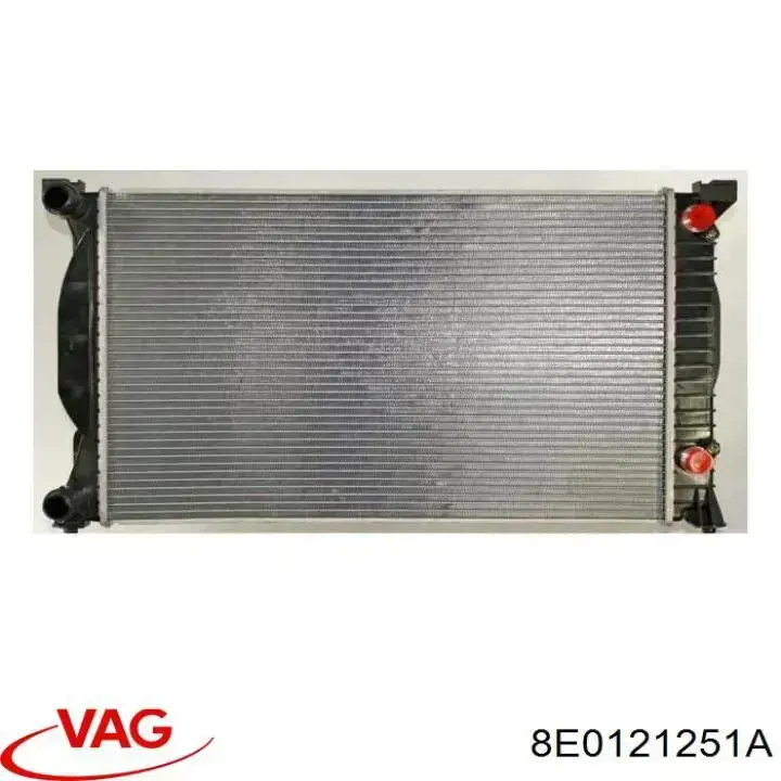 8E0121251A VAG radiador