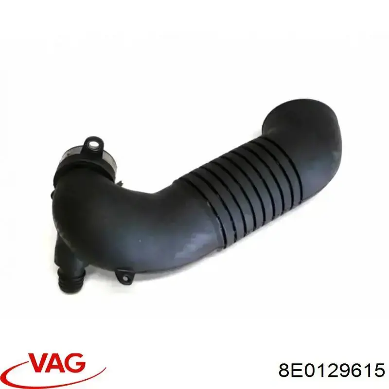 8E0129615 VAG tubo flexible de aspiración, salida del filtro de aire
