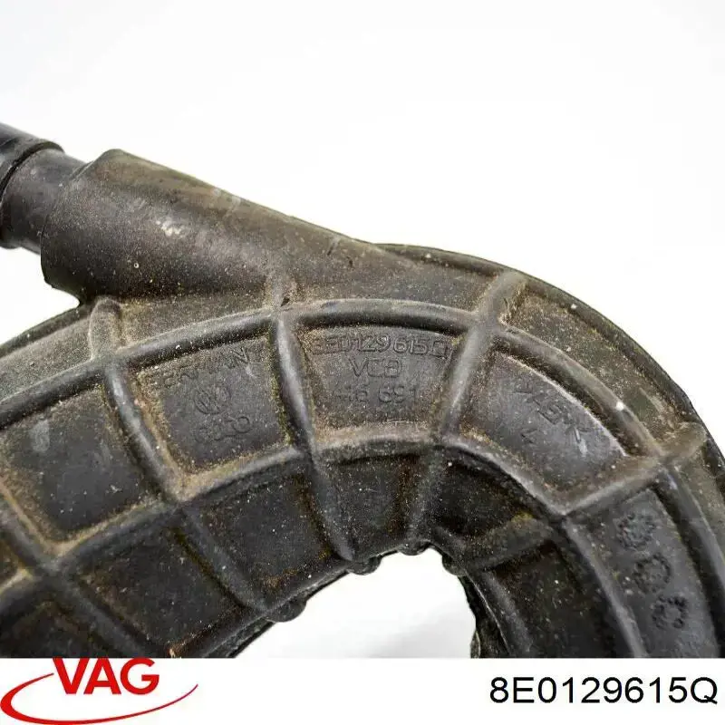 8E0129615Q VAG 