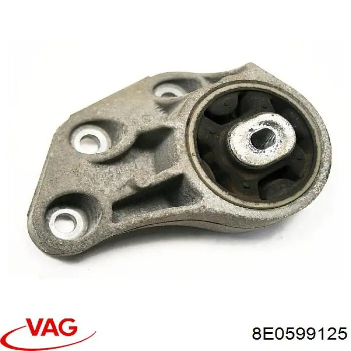 8E0599125 VAG