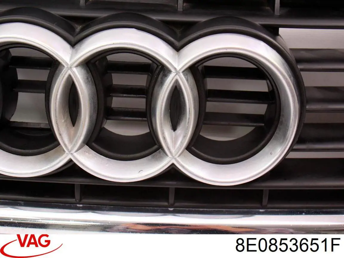 8E0853651F VAG Calandra