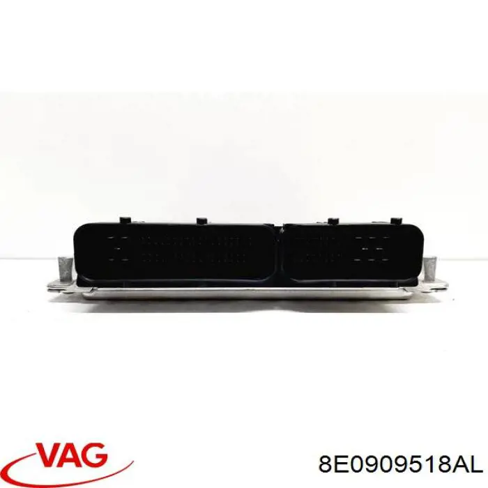 Unidad de control del motor  VAG 8E0909518AL precio, desde 159,72 EUR