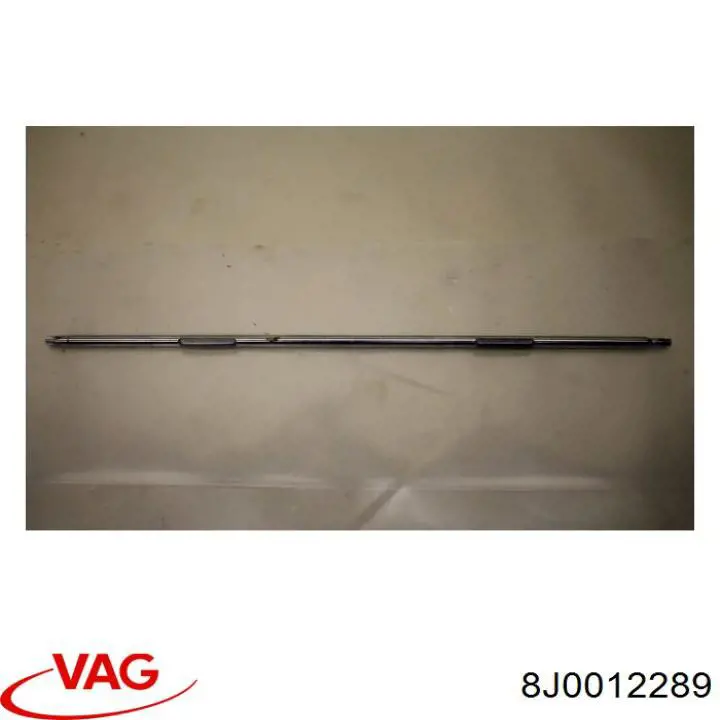 8J0012289 VAG