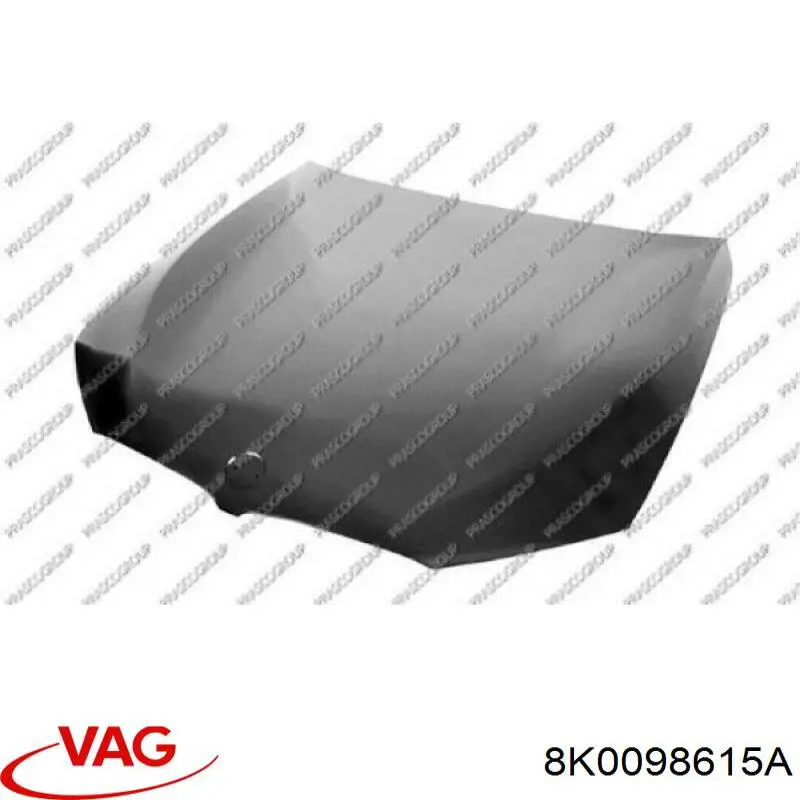  VAG 8K0098615 precio, desde 39,31 EUR