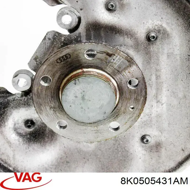 Mangueta trasera izquierda VAG 8K0505431AM precio, desde 126,32 EUR