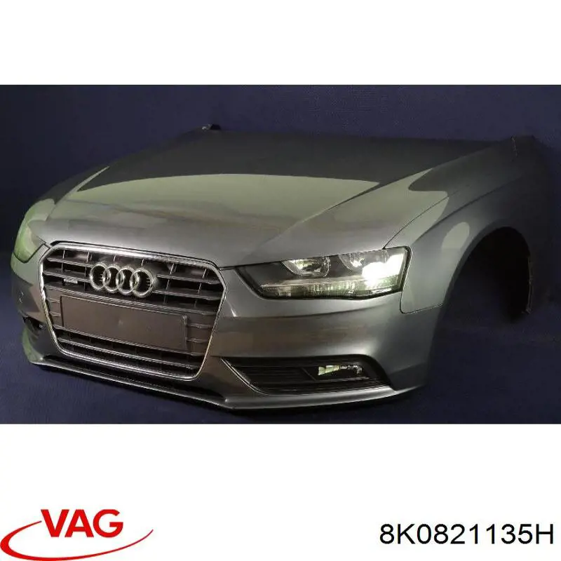  VAG 8K0821135H