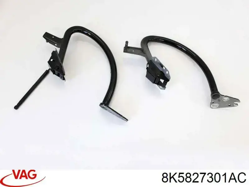 Conjunto de bisagra, puerta del maletero Audi A4 B8 (8K2)