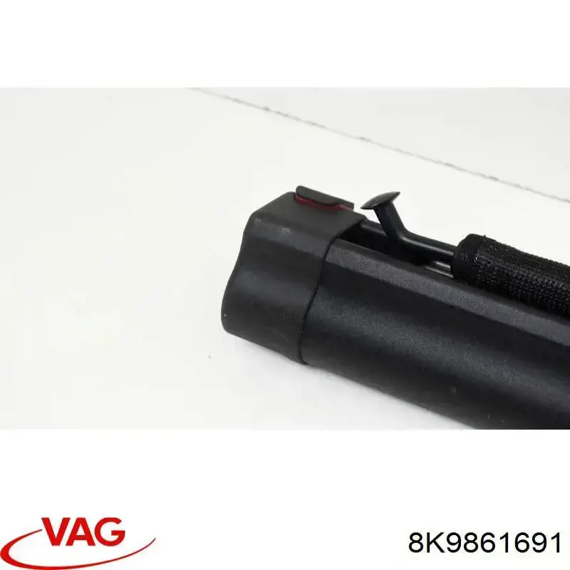 8K9861691 VAG 