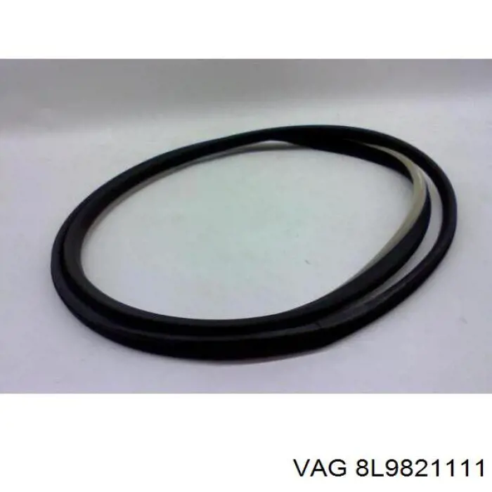 8L9821111 VAG 