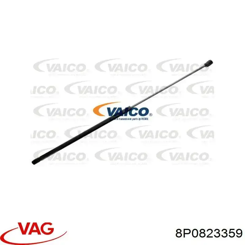 Muelle neumático, tapa delantera VAG 8P0823359 precio, desde 12,60 EUR