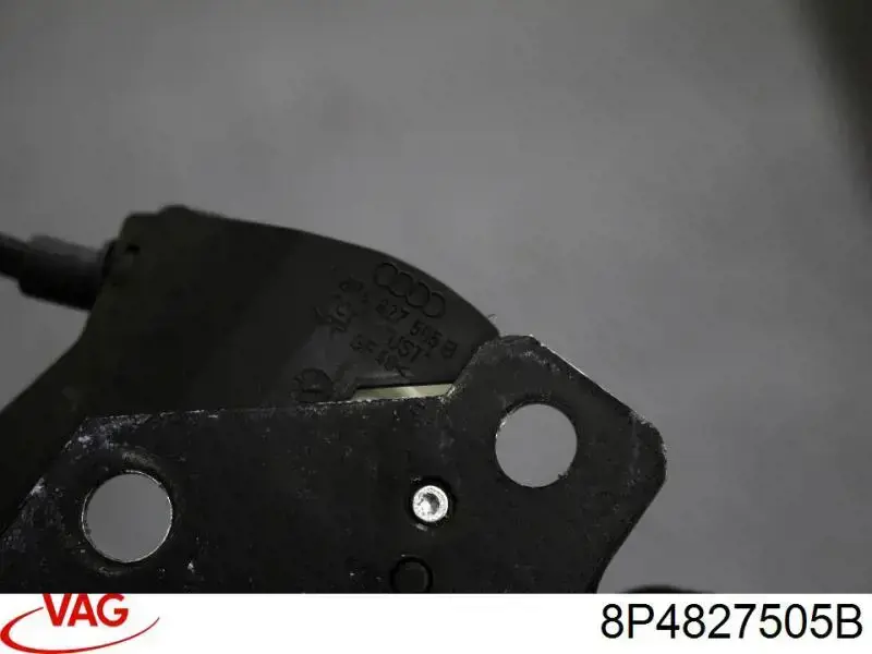 Cerradura de portón trasero VAG 8P4827505B precio, desde 35,98 EUR