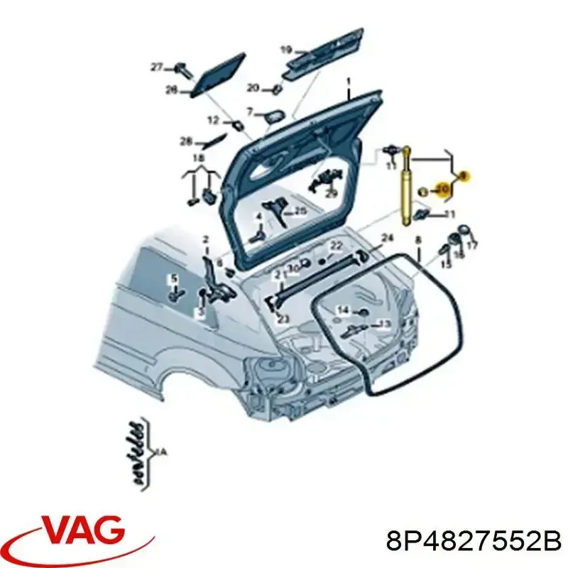 Muelle neumatico maletero VAG 8P4827552B