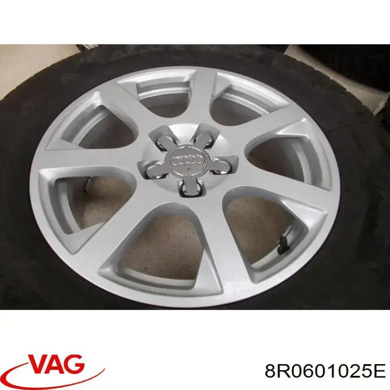 Rines VAG 8R0601025E precio, desde 690,04 EUR