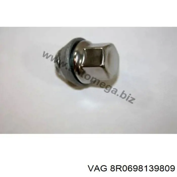 Comprar 8R0698139809 VAG 