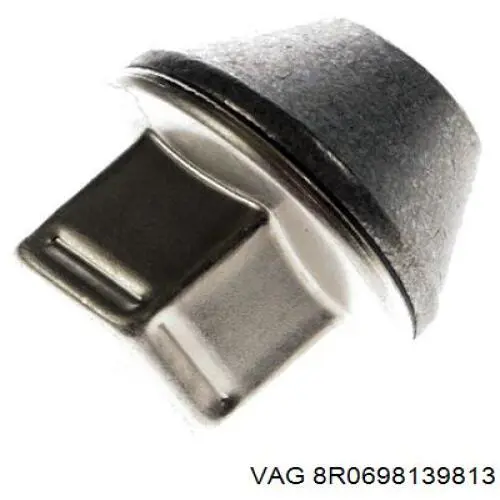  8R0698139813 VAG
