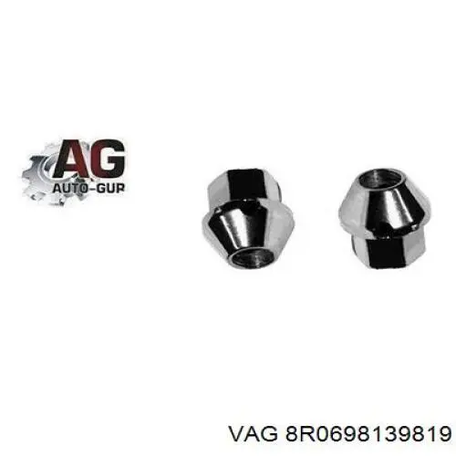  8R0698139819 VAG