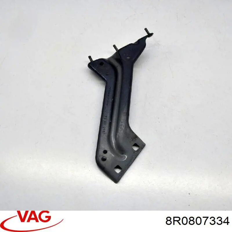  VAG 8R0807334