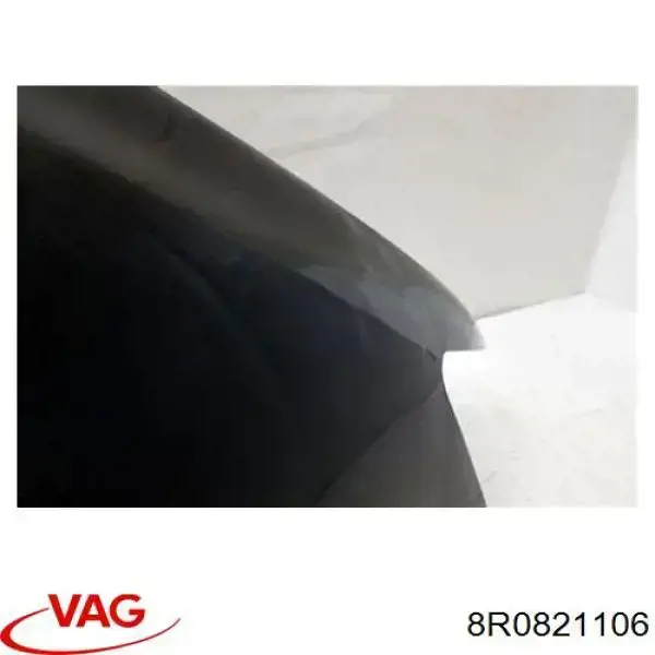 Aleta 8R0821106 VAG