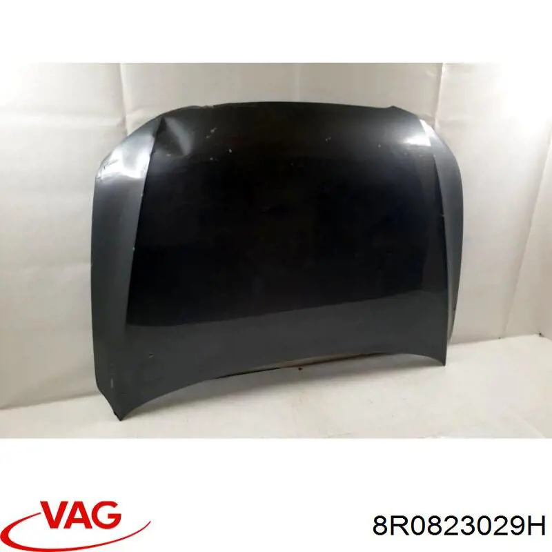 8R0823029H VAG Capó delantero