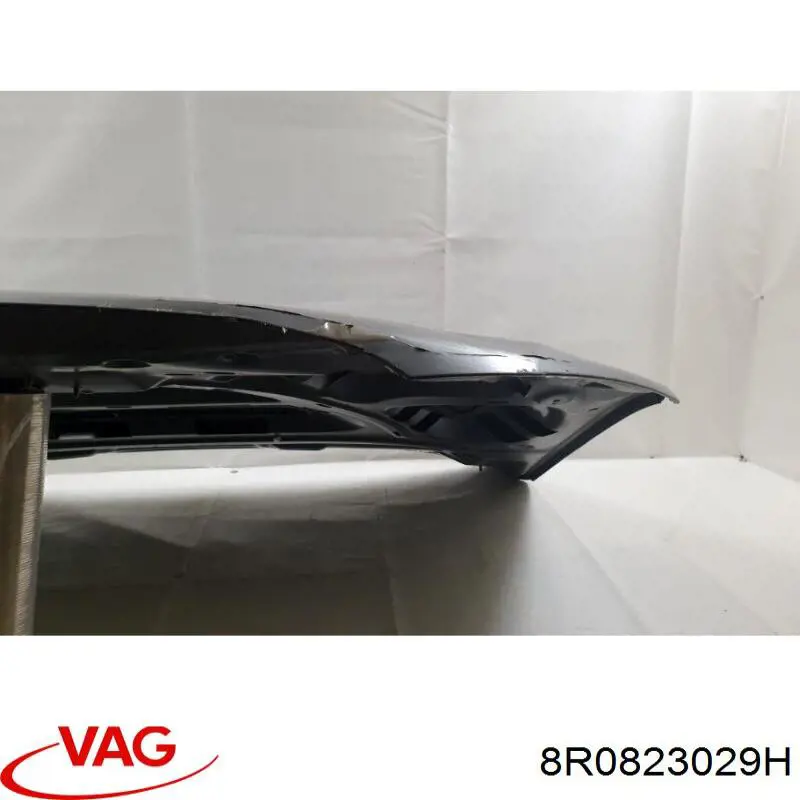 Comprar 8R0823029H VAG Capó