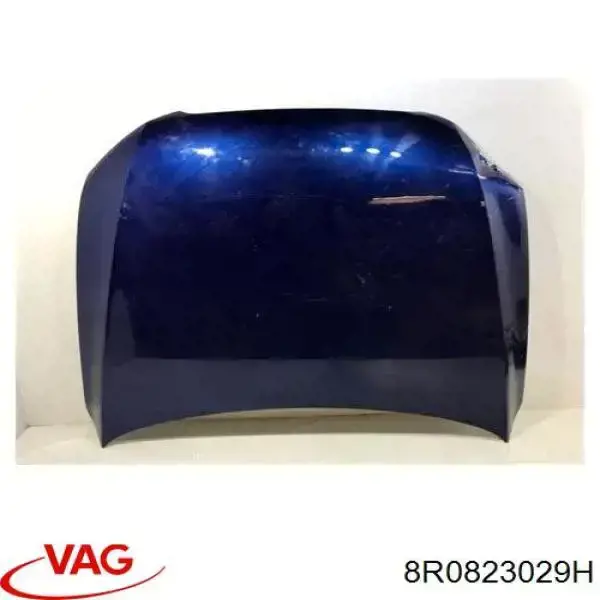 Comprar 8R0823029H VAG Capó
