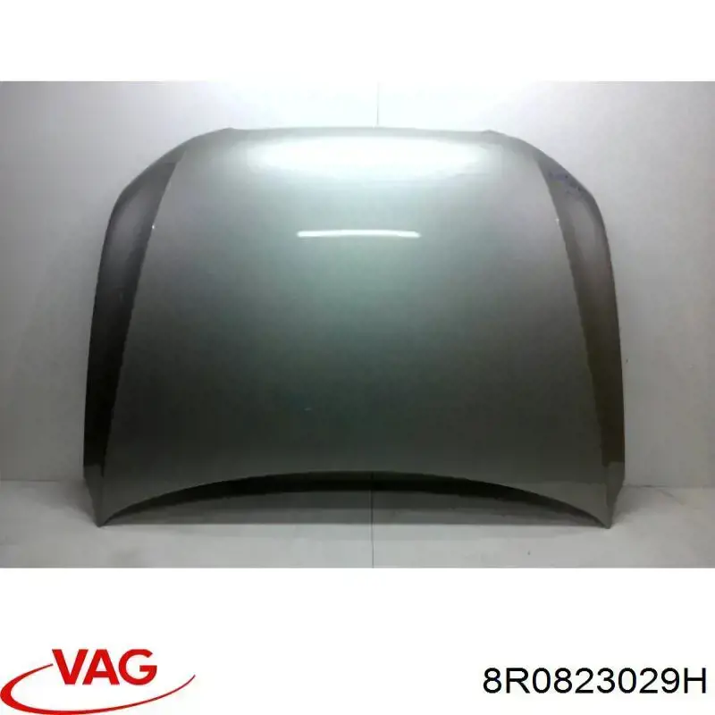 Capó 8R0823029H VAG