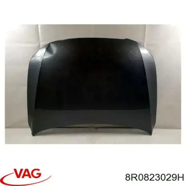 8R0823029H VAG Capó delantero