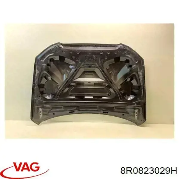 Capó del motor VAG 8R0823029H precio, desde 477,64 EUR