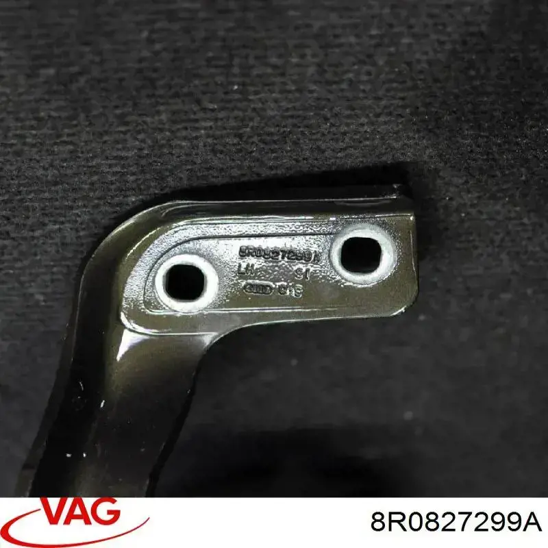 Bisagra de puerta trasera 8R0827299A VAG