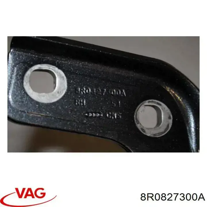 Bisagra de puerta trasera VAG 8R0827300A