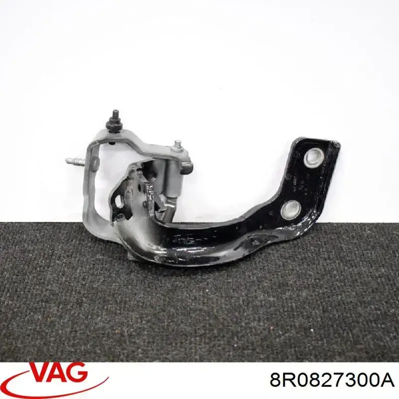 Bisagra de puerta trasera VAG 8R0827300A precio, desde 88,44 EUR