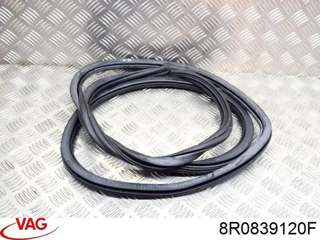  VAG 8R0839120F
