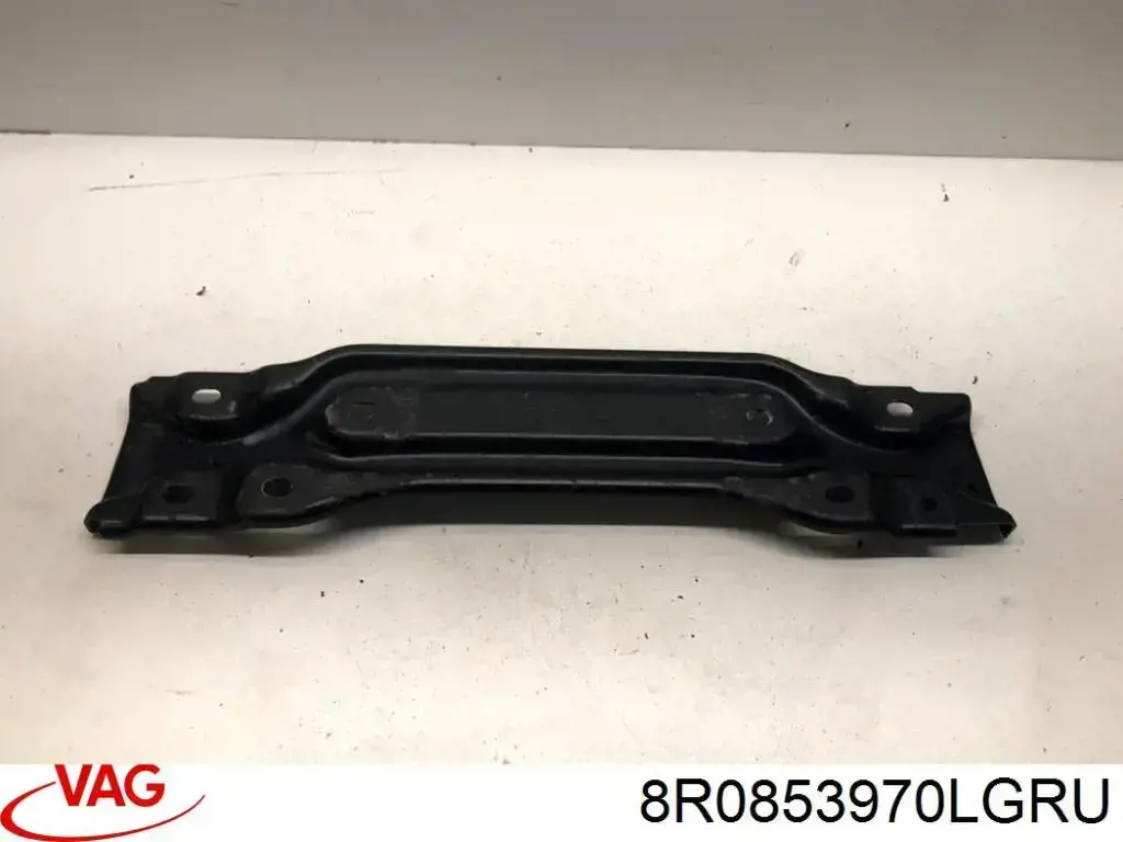 Comprar 8R0853970LGRU VAG Moldura inferior de puerta delantera izquierda
