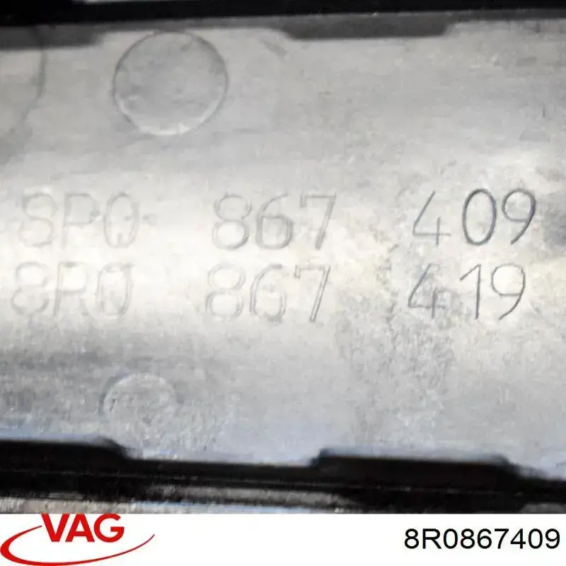 Embellecedor de puerta trasera izquierda VAG 8R0867409