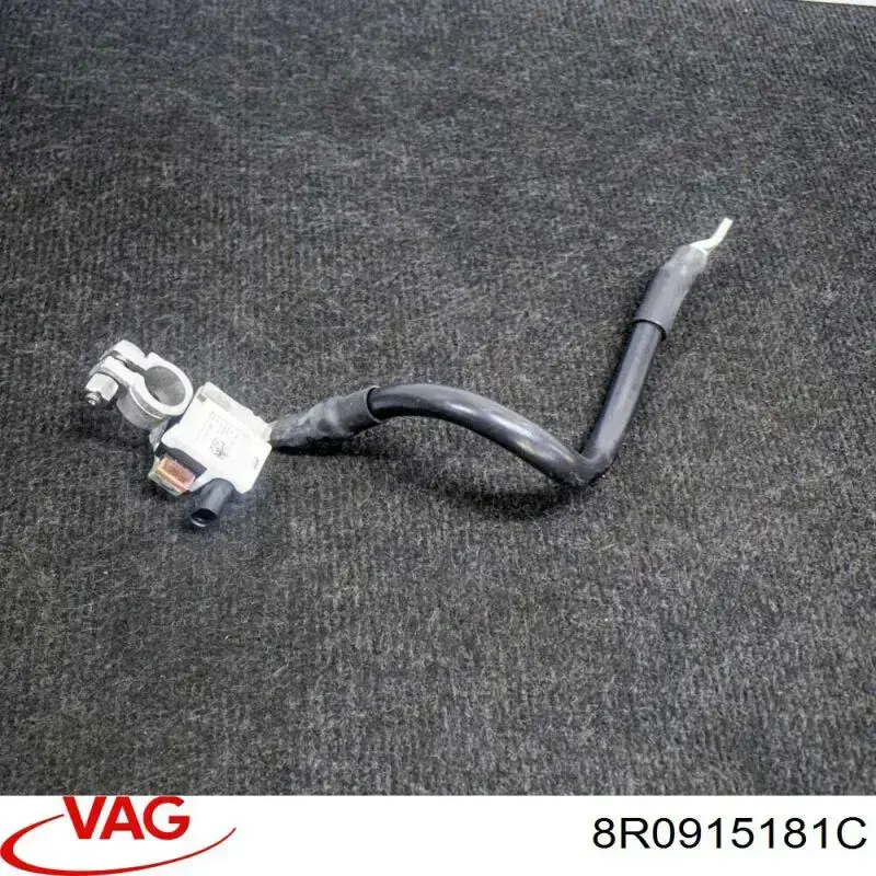 Cable de masa de batería VAG 8R0915181C precio, desde 94,38 EUR