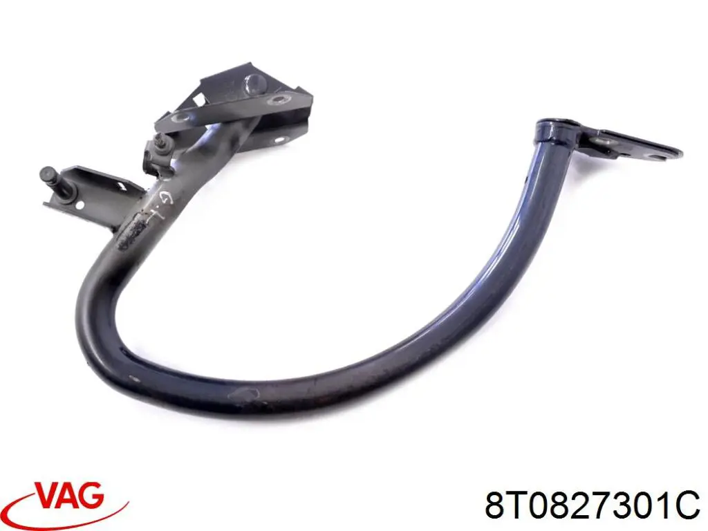 Conjunto de bisagra, puerta del maletero Audi A5 (8T3)