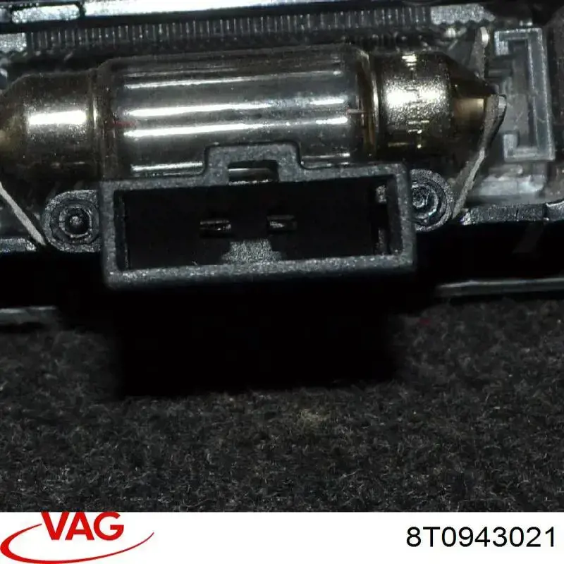 Luz matricula 8T0943021 VAG