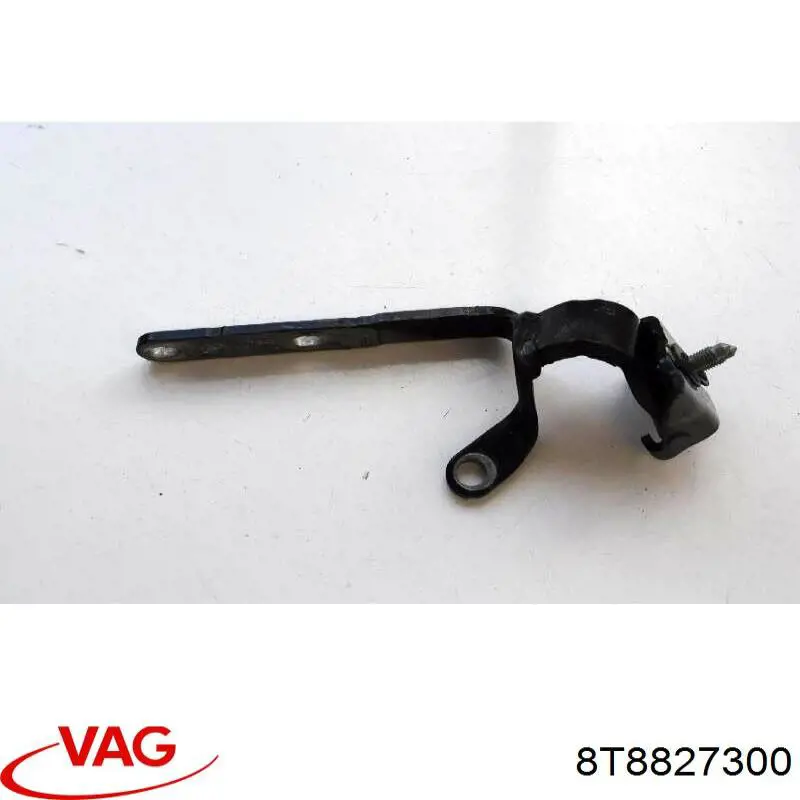  8T8827300 VAG