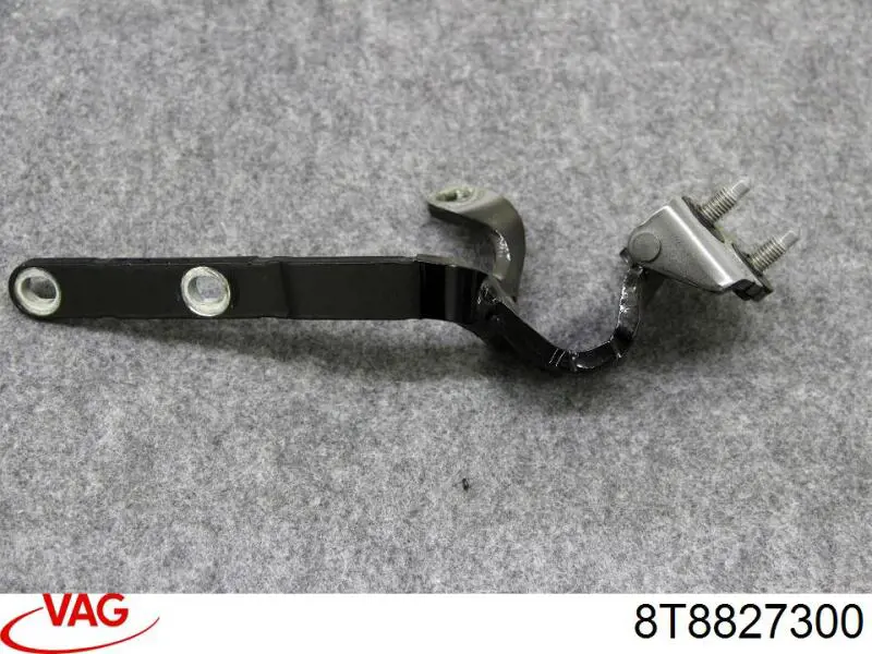 8T8827300 VAG 