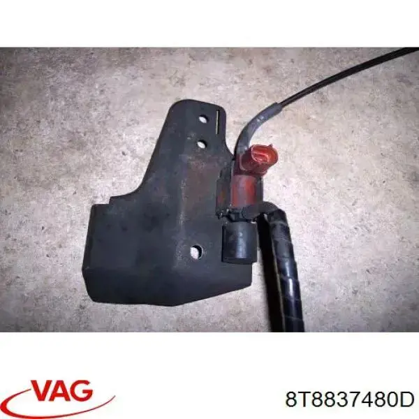 8T8837480D VAG 