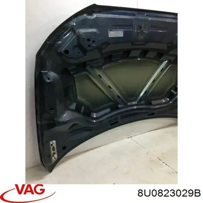 Capot para Audi Q3 (8UB)